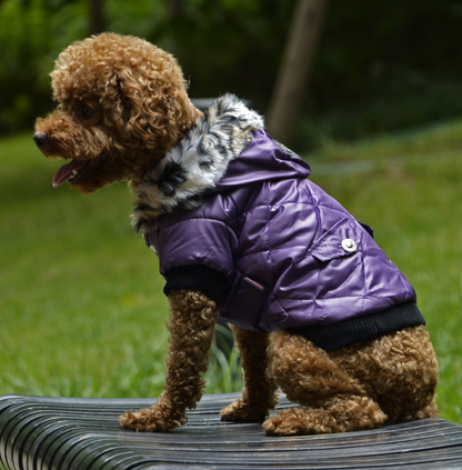 Fur Collar Coat pet clothing