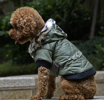 Fur Collar Coat pet clothing