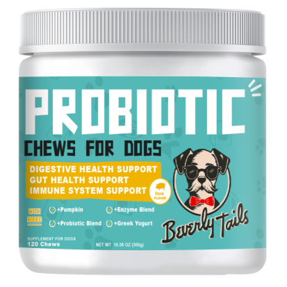 Pet Supplements Chews Probiotics