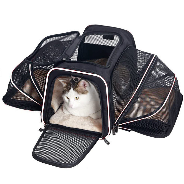 Airline Approved Pet Carrier, Large Soft Sided Pet Travel TSA Carrier