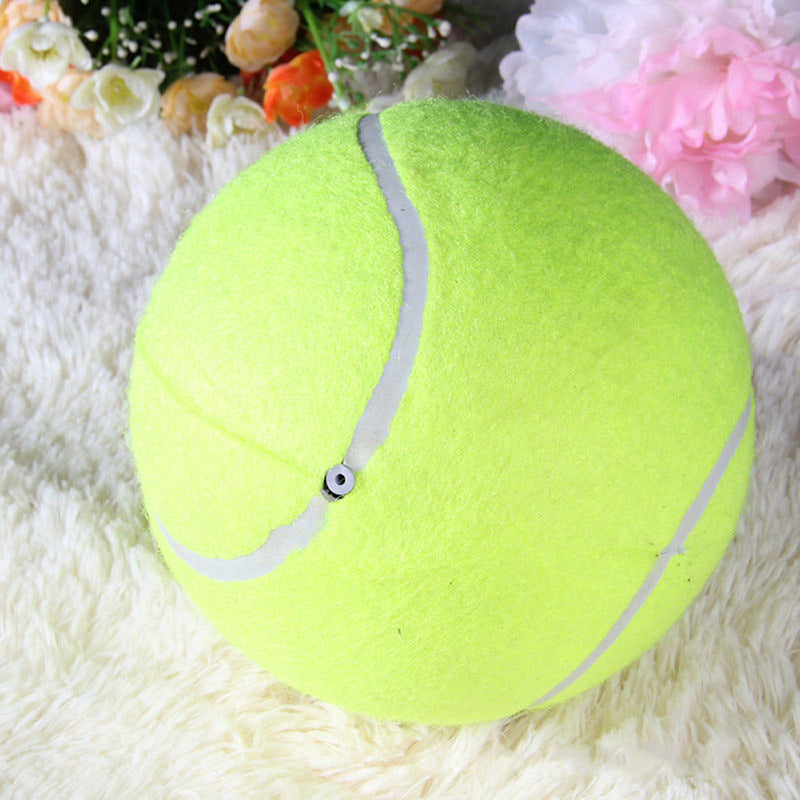 Large Tennis 24cm Inflatable Activity Gift Pet Toys